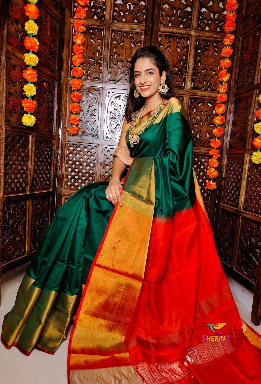 Banarasi Kora Organza Saree