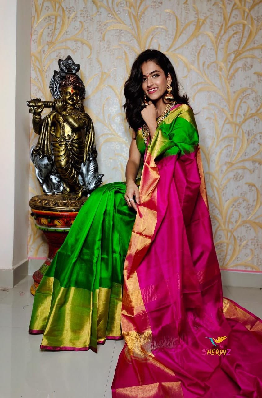 Banarasi Kora Organza Saree