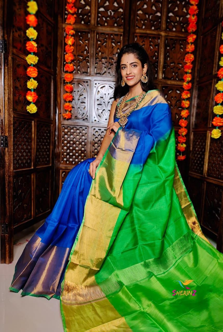 Banarasi Kora Organza Saree